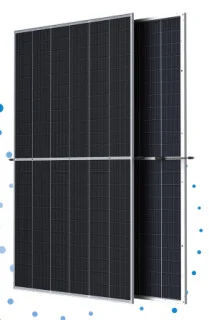 Trina 650W TSM-DEG21C.20 Full Black