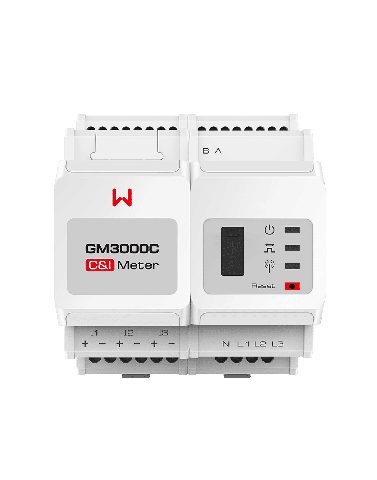 GoodWe GM3000C